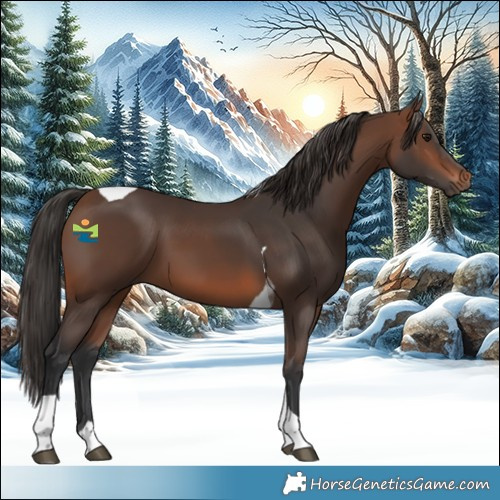 Horse Color:Brown Tobiano 