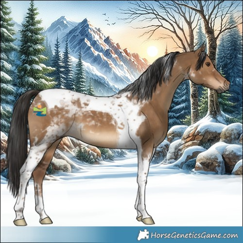 Horse Color:Gray Liver Red Dun Tobiano 