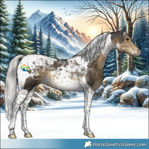 Horse Color:Silver Smoky Black Tobiano