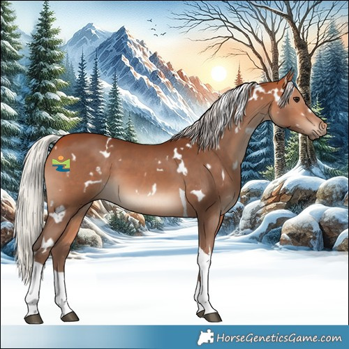 Horse Color:White Spotted Silver Bay Tobiano
