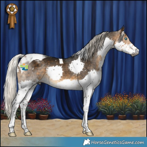 Horse Color:Gray Silver Buckskin Splash Tobiano Appaloosa Rabicano 