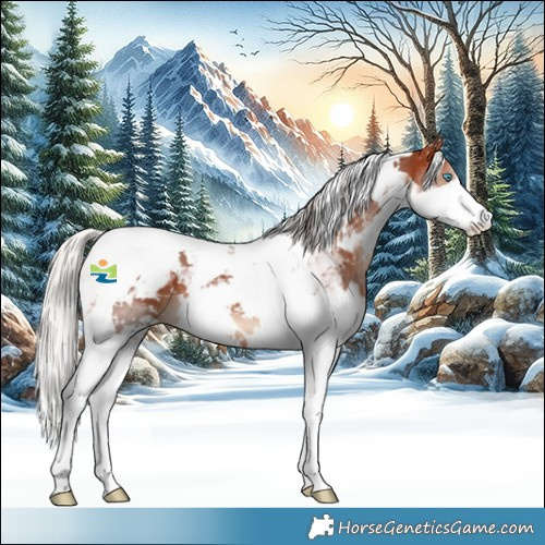 Horse Color:White Spotted Silver Brown Splash Tobiano 