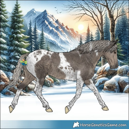 Horse Color:Silver Smoky Grullo Tobiano 