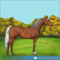 Horse Color:Silver Bay