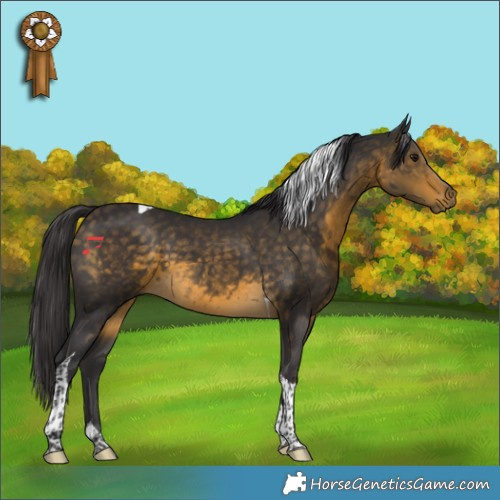 Horse Color:Buckskin Tobiano 