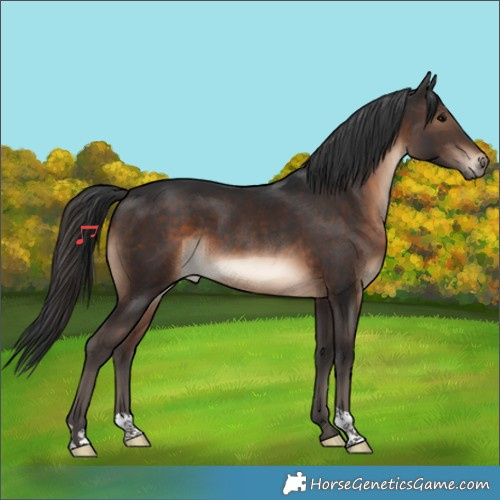 Horse Color:Brown 