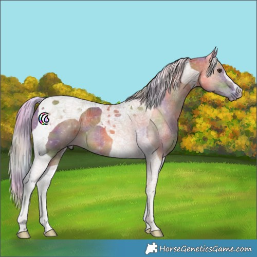 Horse Color:Nacre Chocolate Palomino Tobiano 