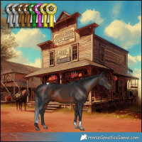 Horse Color:Brown Tobiano 