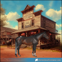 Horse Color:Brown Tobiano 