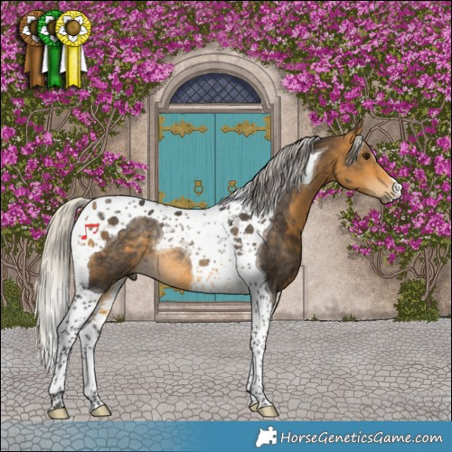 Horse Color:Silver Buckskin Tobiano Rabicano 