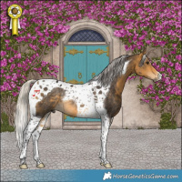 Horse Color:Silver Buckskin Tobiano Rabicano