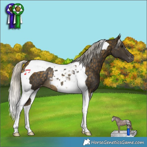 Horse Color:Silver Buckskin Tobiano Appaloosa Rabicano