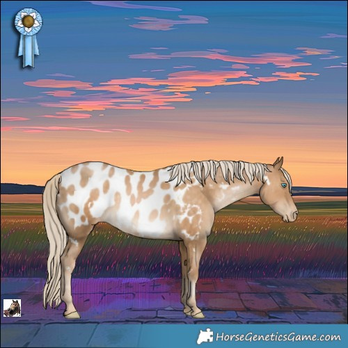 Horse Color:White Spotted Chocolate Palomino Pearl Appaloosa