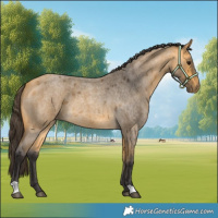 Horse Color:Buckskin Roan 