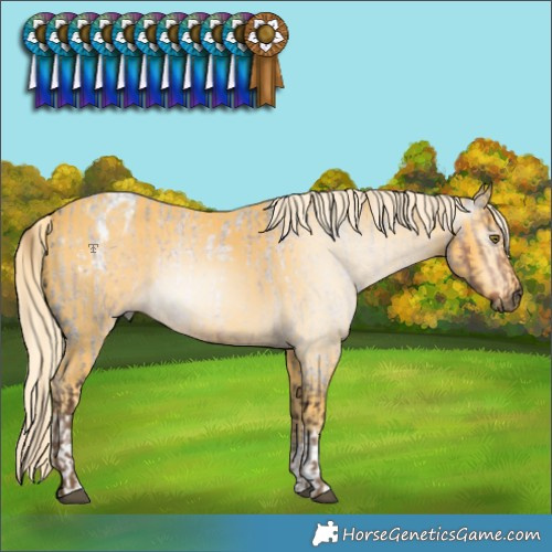 Horse Color:Gray Chocolate Palomino Roan  and White Spotted Palomino Varnish 