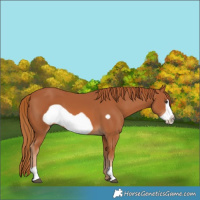 Horse Color:Chestnut Frame