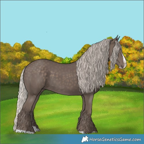 Horse Color:Silver Black Splash 