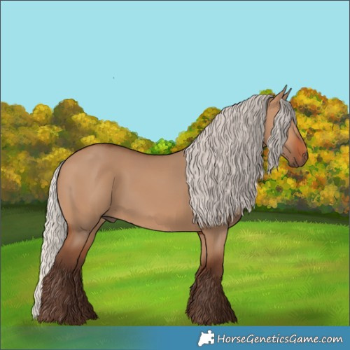 Horse Color:Silver Brown Dun
