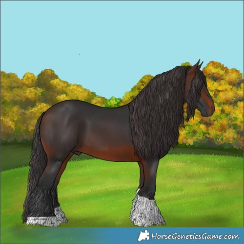 Horse Color:Brown Tobiano 