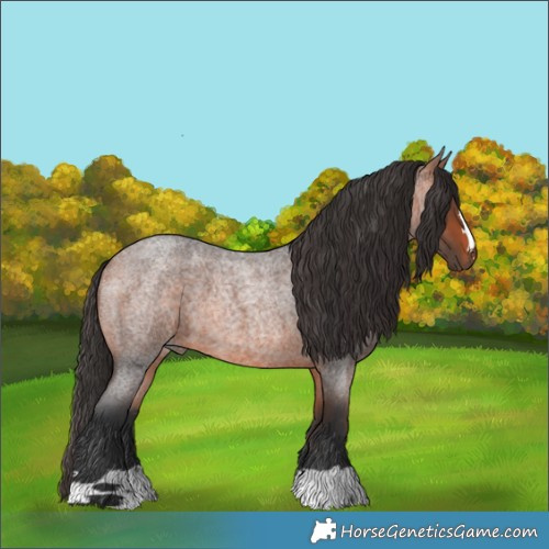 Horse Color:Bay Roan 