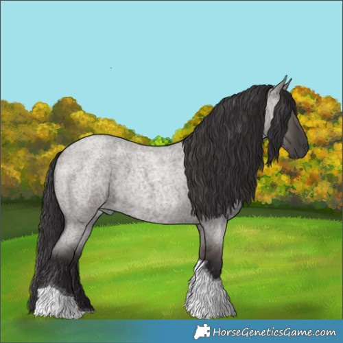 Horse Color:Smoky Grullo Roan Tobiano 