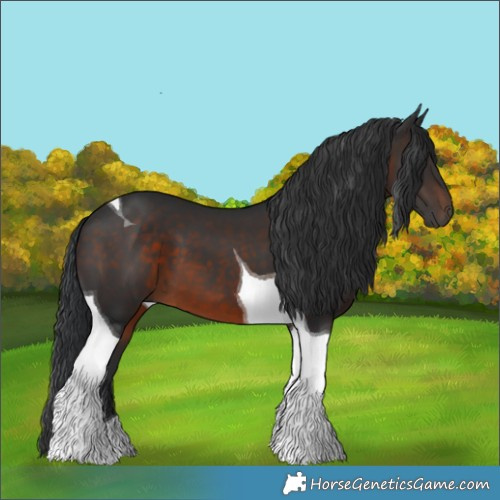 Horse Color:Brown Tobiano 