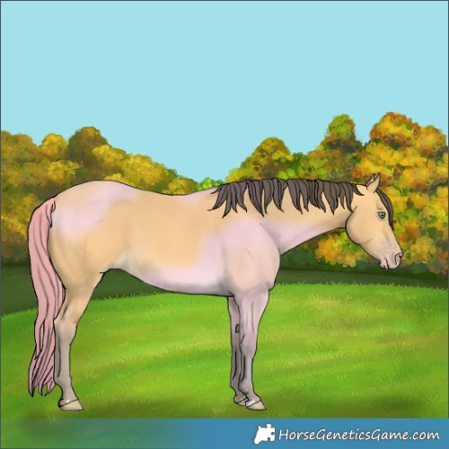 Horse Color:Amber Cream Champagne 