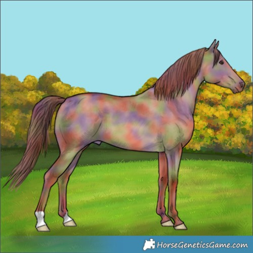 Horse Color:Nacre Red Dun