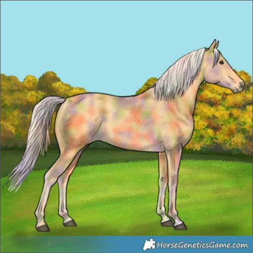 Horse Color:Nacre Palomino 