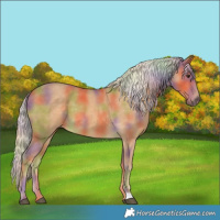 Horse Color:Nacre Palomino 