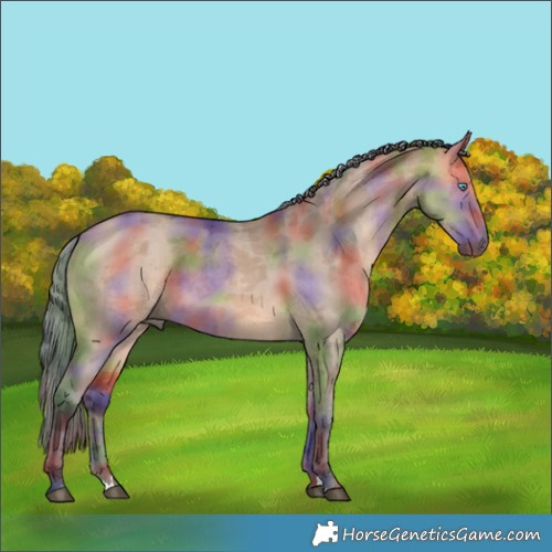 Horse Color:Nacre Bay Dun Merle