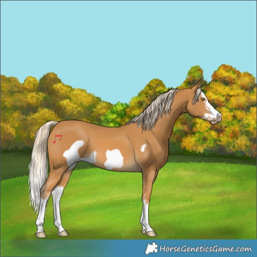 Horse Color:Palomino Splash Frame