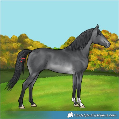 Horse Color:Brown Chinchilla 