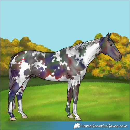 Horse Color:Nacre White Spotted Brown 
