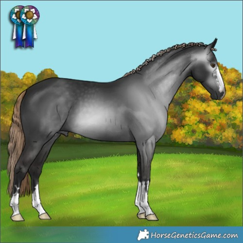 Horse Color:Gray Liver Chestnut 
