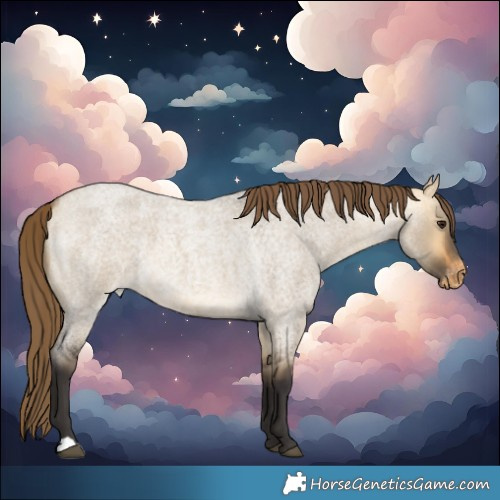 Horse Color:Buckskin Roan Dun Skewed LP Spotted 