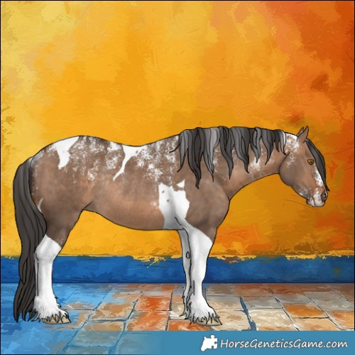 Horse Color:Powder White Bay Dun Tobiano Rabicano