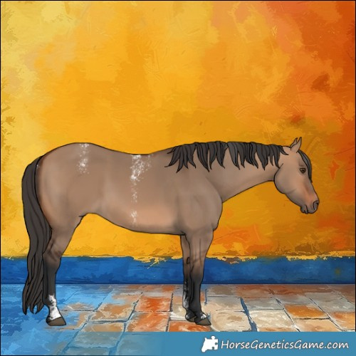 Horse Color:Powder White Bay Dun 