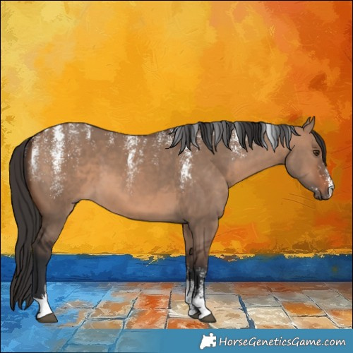 Horse Color:Powder White Brown Dun