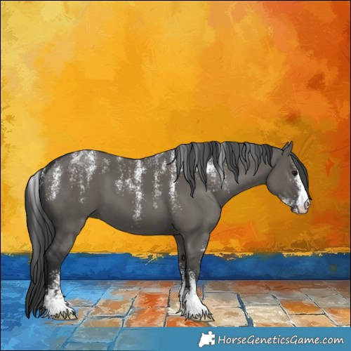 Horse Color:Powder White Grullo 