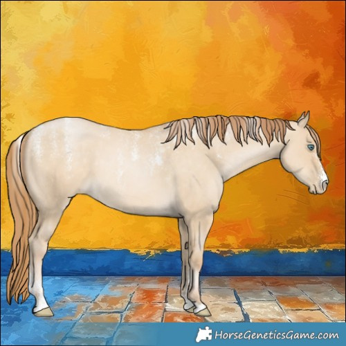 Horse Color:Powder White Smoky Grullo Pearl