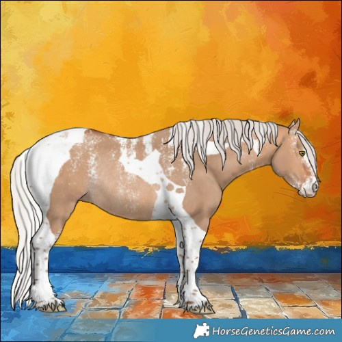 Horse Color:Powder White Silver Bay Dun Tobiano Rabicano 