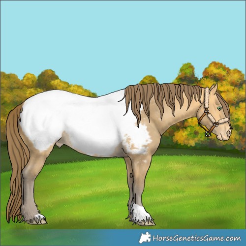 Horse Color:Amber Cream Champagne Snowcap 
