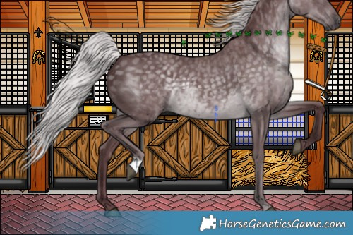 Horse Color:Chocolate Silver Black Chinchilla 