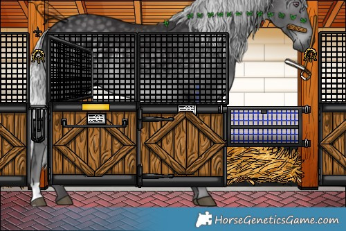 Horse Color:Silver Smoky Black Chinchilla Rabicano