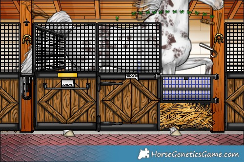 Horse Color:White Spotted Chocolate Silver Brown Chinchilla Appaloosa