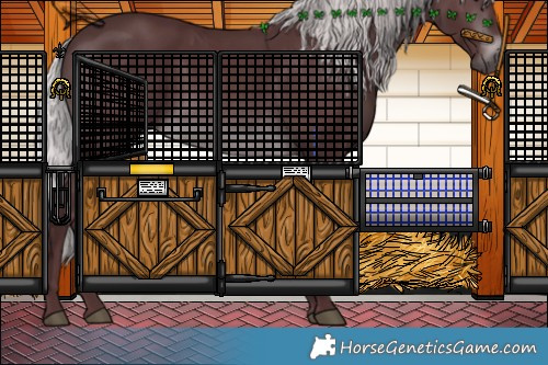 Horse Color:Chocolate Silver Brown Chinchilla 