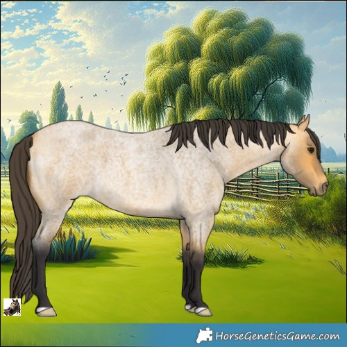Horse Color:Buckskin Roan 