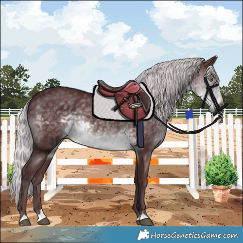 Horse Color:Chocolate Silver Smoky Black Chinchilla 