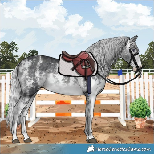 Horse Color:Silver Brown Chinchilla Sabino Rabicano 
